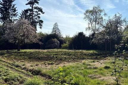 Traumgrundstück im Grünen! Mit positven Bauvorbescheid! zimmer