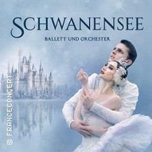 Schwanensee - Ballett mit Orchester 2027 19.03.2027 Westfalenhalle
