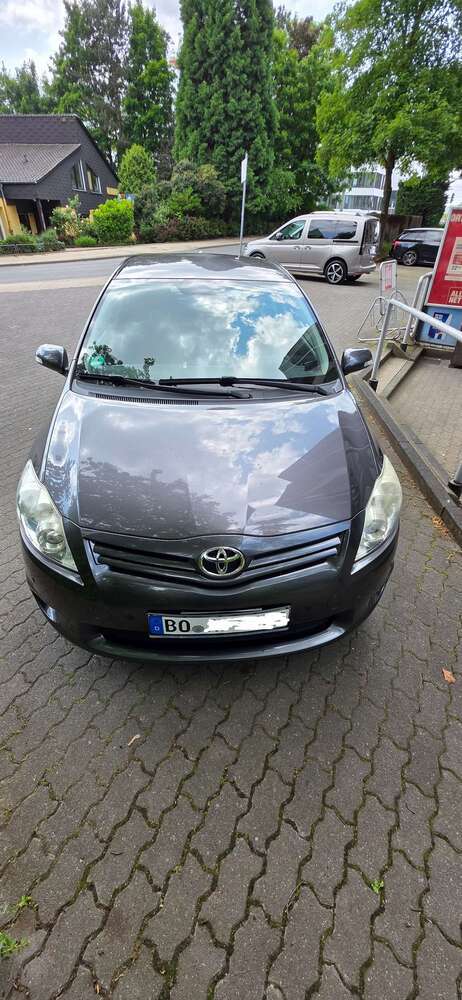 Auris