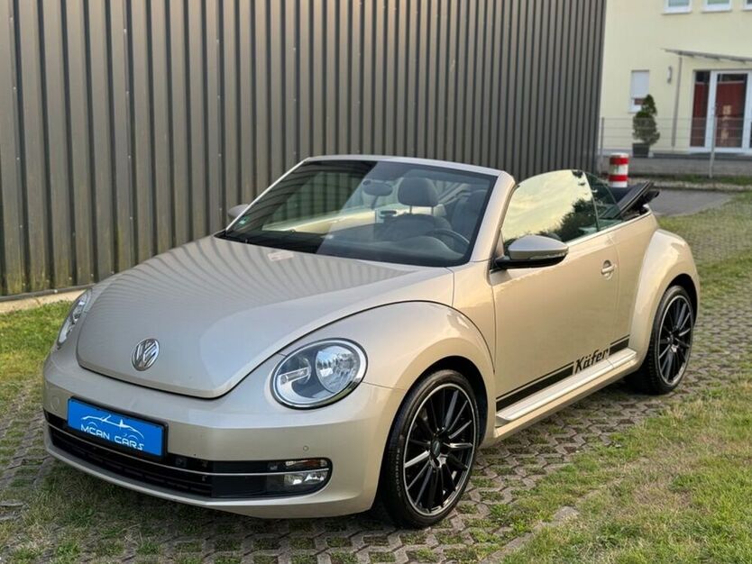 Beetle