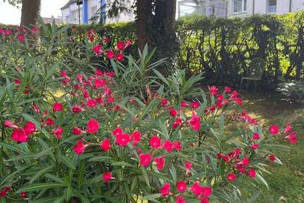 Grundstück zu verkaufen in Hagen 133.000 € 500 m² zimmer