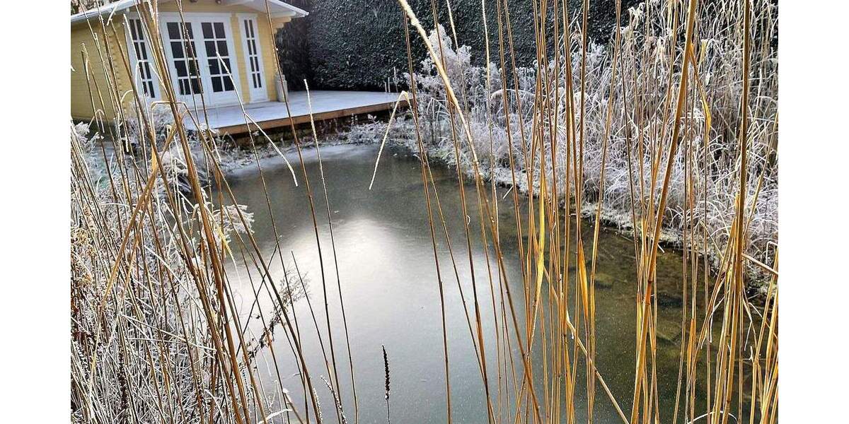 Mehrfamilienhaus, Wohnhaus Dortmund Wambel - 1 Zimmer, 280 m&sup2;, 699.000&euro; | Angebot:24005252