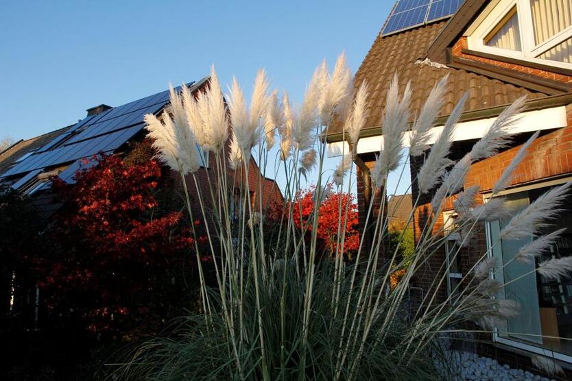 Doppelhaushälfte, Dortmund, frei März-Juli 2026, Uni-Nähe zimmer