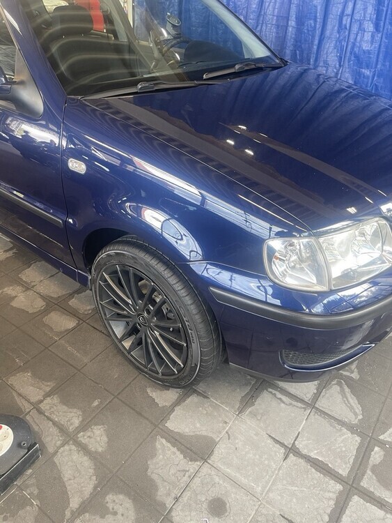 Polo