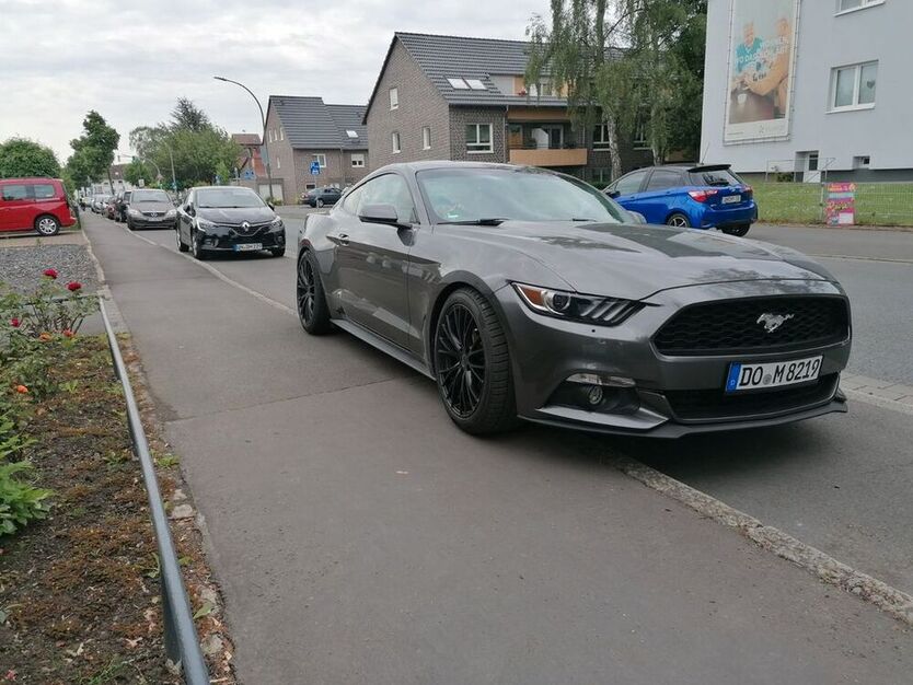 Mustang