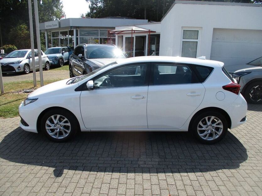 Auris