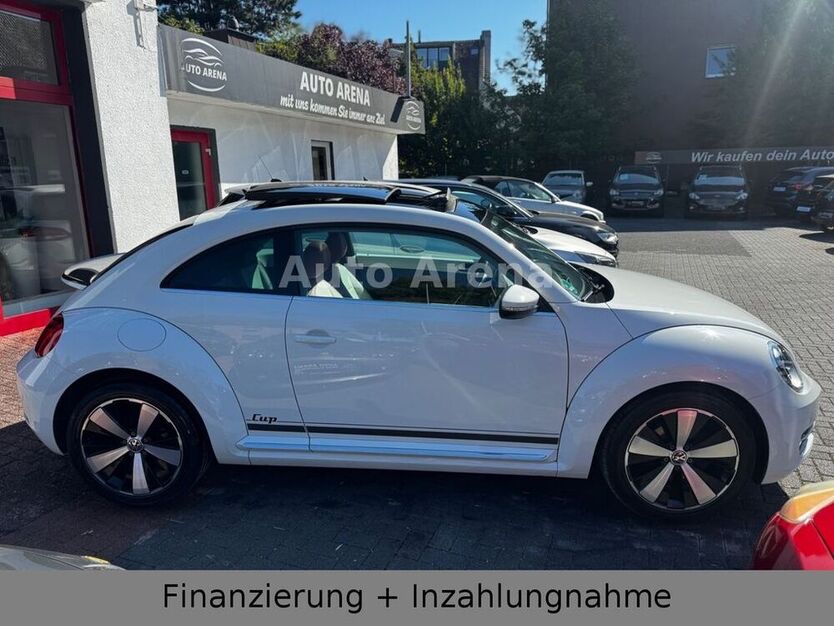 Beetle