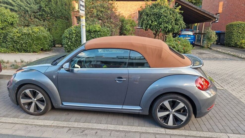 Beetle