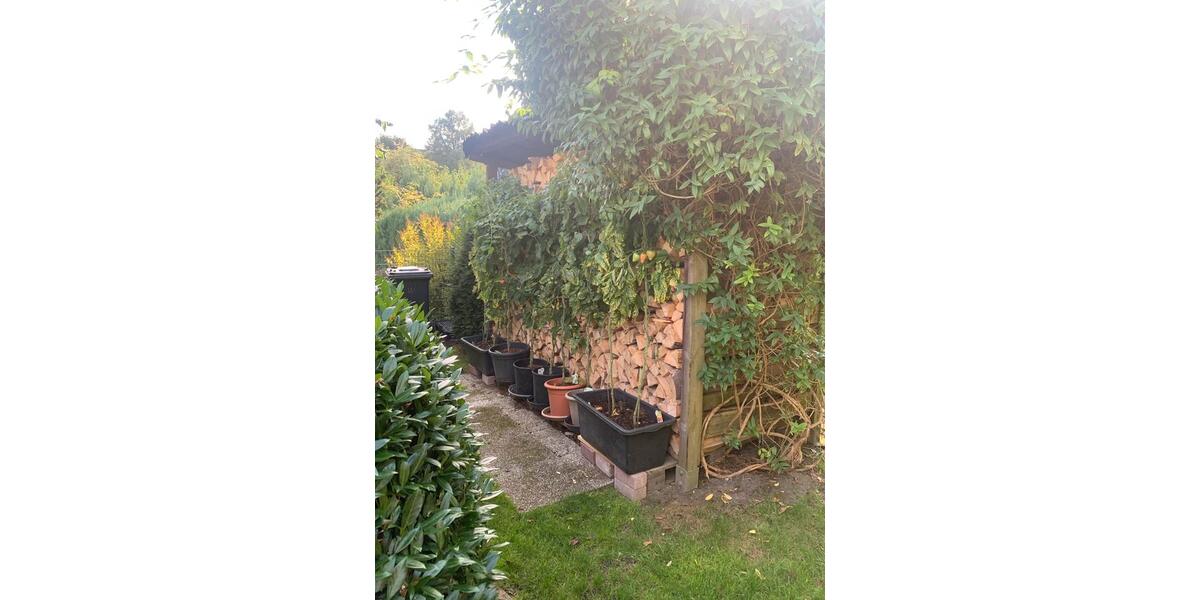 Doppelhaushälfte Waltrop - 4 Zimmer, 127 m&sup2;, 465.000&euro; | Angebot:27436316