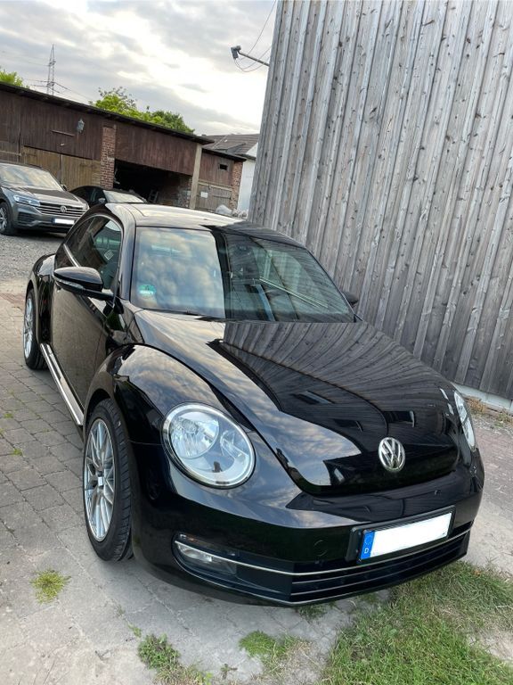 Beetle