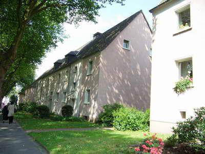 2 Zimmer Erdgeschosswohnung in Bochum Riemke für Dezember 2025 verfügbar zimmer