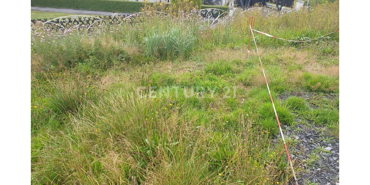 Grundstück in ruhiger Lage - Grundstück Menden Berkenhofskamp | Angebot:22484492