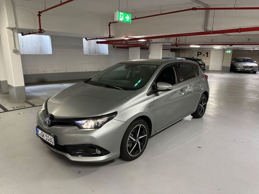 Auris