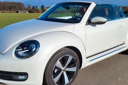 VW Beetle 17.534 km 18.950 &euro; Fröndenberg 58730