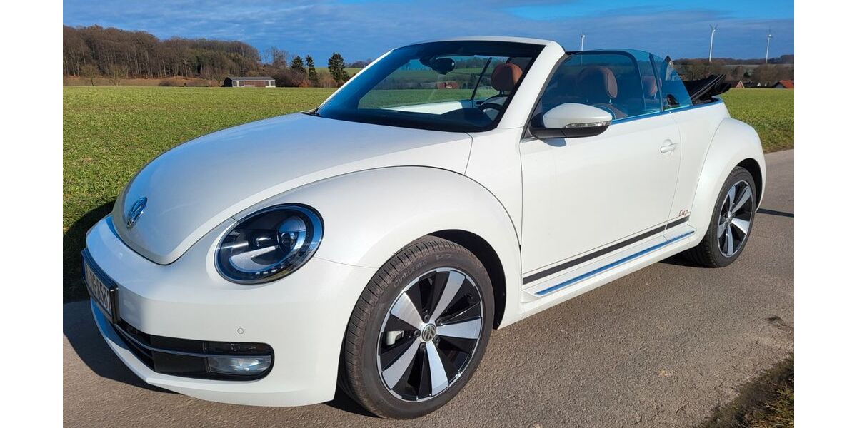 VW Beetle 17.534 km 18.950 &euro; Fröndenberg 58730