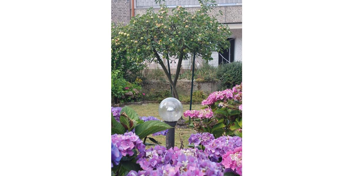 Schönes Häuschen, schöner Garten, gerne auf einen Käufer warten! 7 zimmer