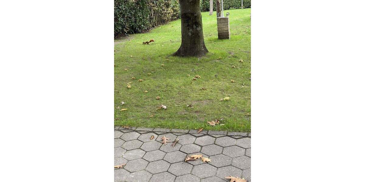 Mehrfamilienhaus, Wohnhaus Dortmund Wambel - 1 Zimmer, 280 m&sup2;, 699.000&euro; | Angebot:24005252