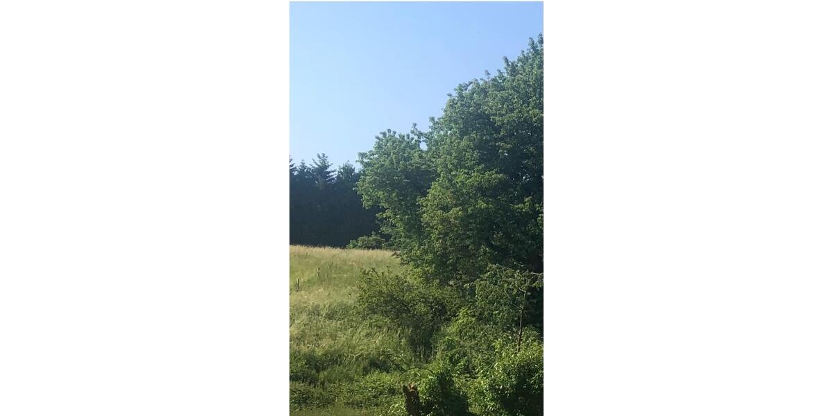 Doppelhaushälfte Dortmund Aplerbeck - 5.5 Zimmer, 134 m&sup2;, 2.200&euro; | Angebot:24153766