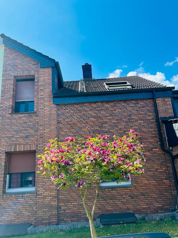 Charmantes kleines Haus mit eigenem kleinen Garten & Einbauküche zimmer