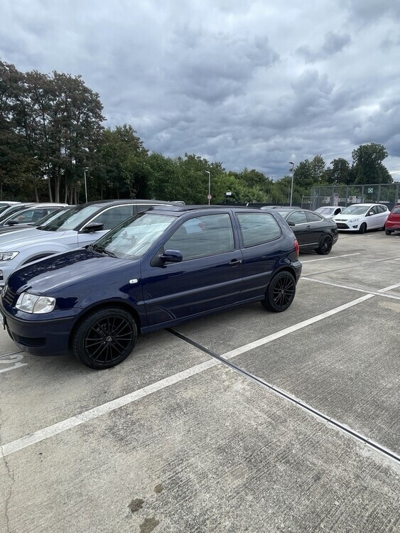 Polo