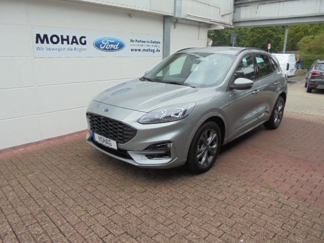 Kuga