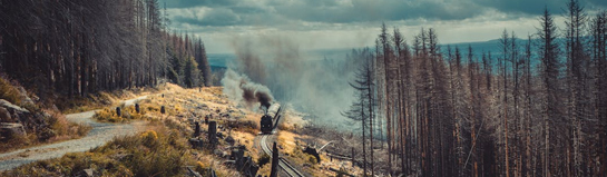 Freizeitroute im Familienpark
