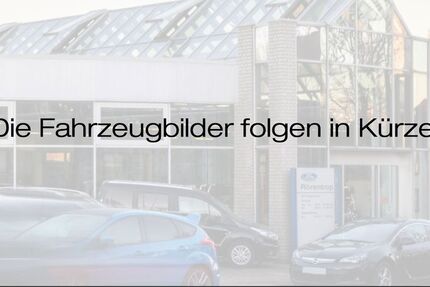 Ford Tourneo Custom 29.500 km 53.481 &euro; Lünen 44532