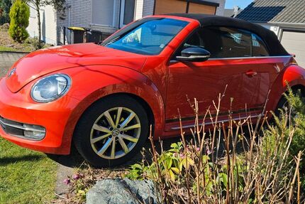 VW Beetle 53.260 km 17.300 &euro; Dortmund 44319