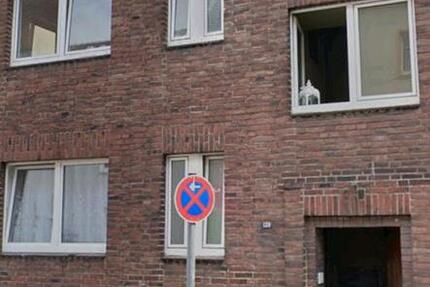 3 Mehrfamilienhäuser, 8 Garagen und Halle 52 zimmer