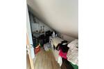 Einfamilienhaus Dortmund Bövinghausen - 5 Zimmer, 136 m&sup2;, 415.000&euro; | Angebot:26594148