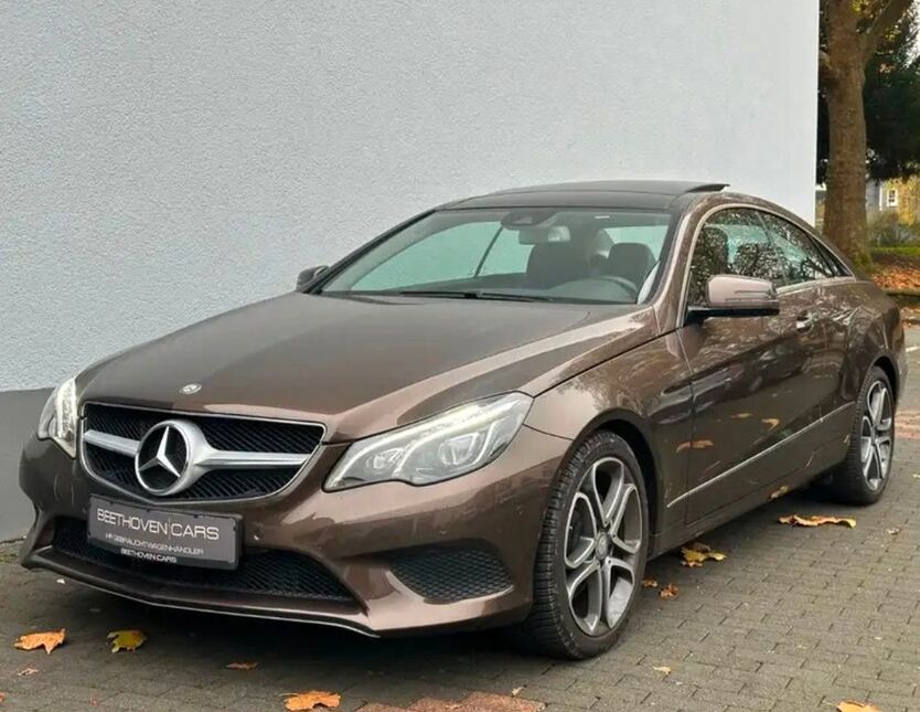 E 250