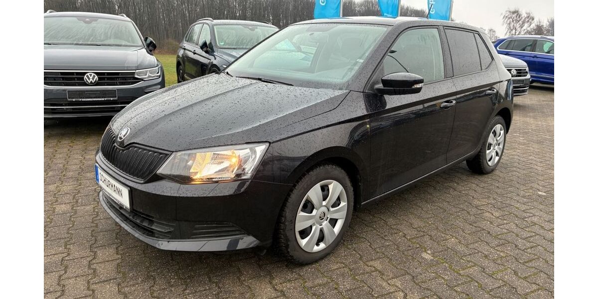 Skoda Fabia 53.426 km 9.929 &euro; Herten 45701