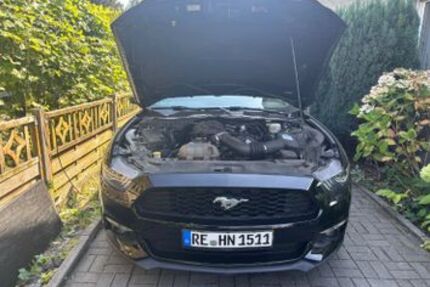 Ford Mustang 66.500 km 19.499 &euro; Marl 45772