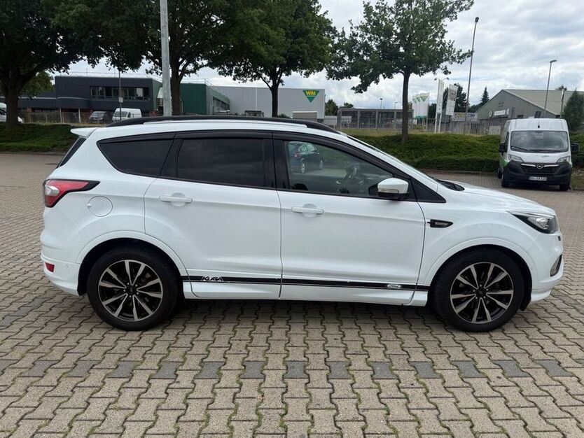 Kuga