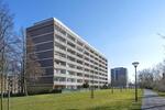 Etagenwohnung Dortmund Scharnhorst - 2 Zimmer, 60 m&sup2;, 483&euro; | Angebot:26619384