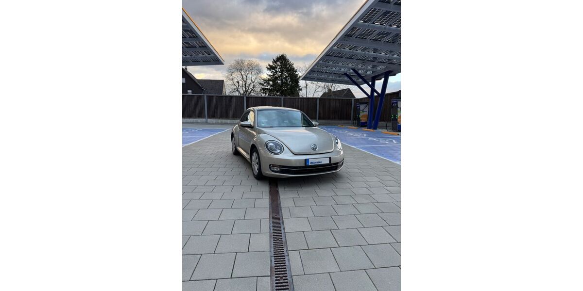 VW Beetle 174.622 km 8.850 &euro; Bönen 59199