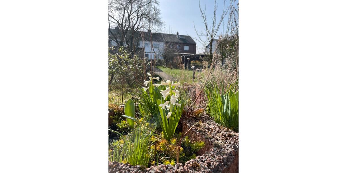 Reihenhaus Marl - 4 Zimmer, 104 m&sup2;, 300.000&euro; | Angebot:25398740