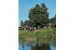 Einfamilienhaus Olfen - 2 Zimmer, 30 m&sup2;, 22.500&euro; | Angebot:27208977