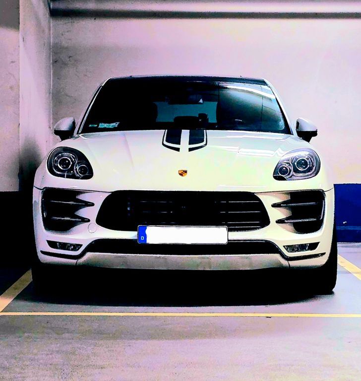 Macan