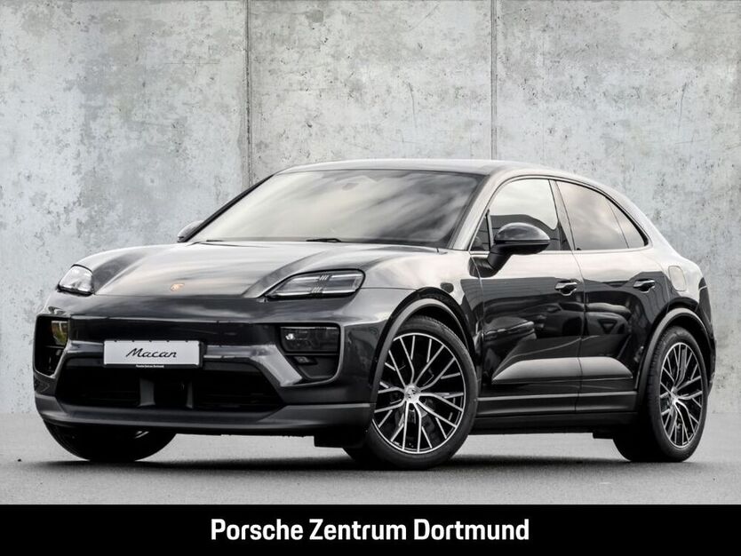 Macan