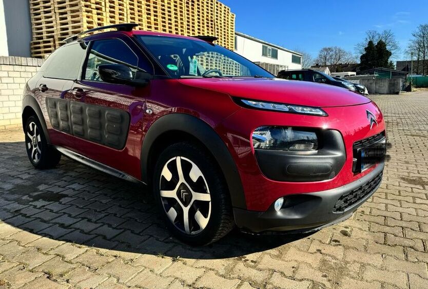C4 Cactus