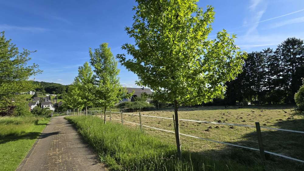 Haus zum Kaufen in Bochum 980.000 € 238 m² 8 zimmer