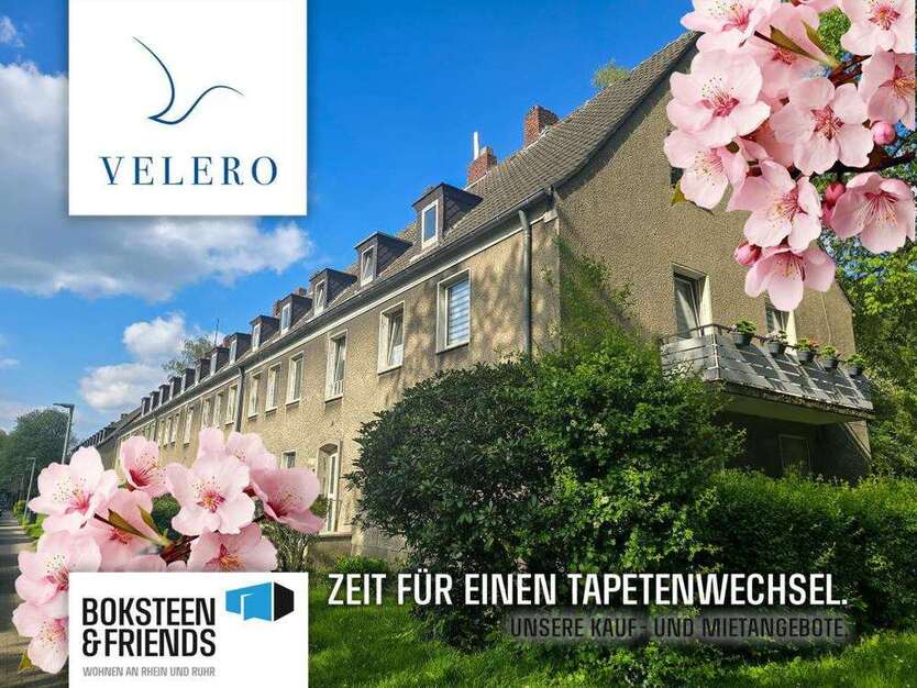 Wohnung zum Mieten in Gelsenkirchen 340 € 50.07 m²