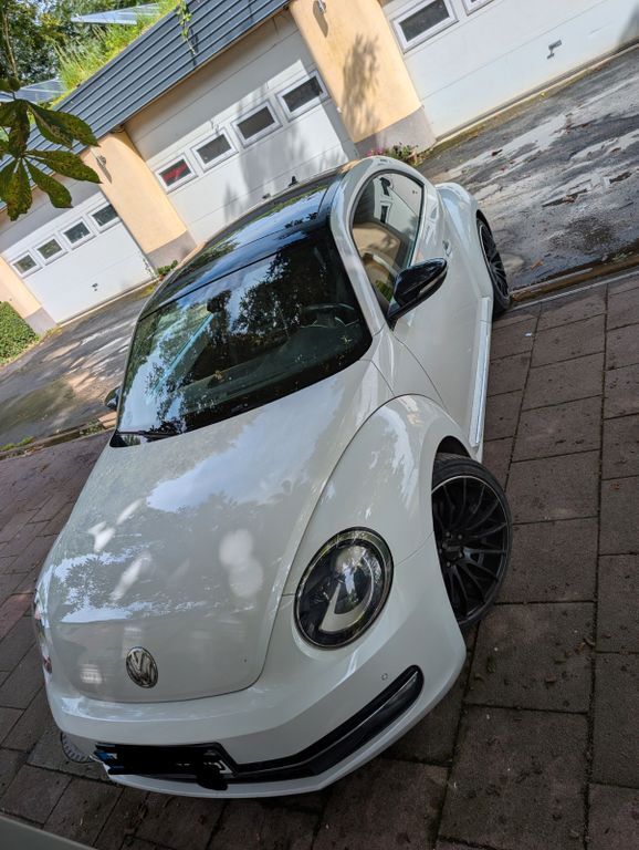 Beetle