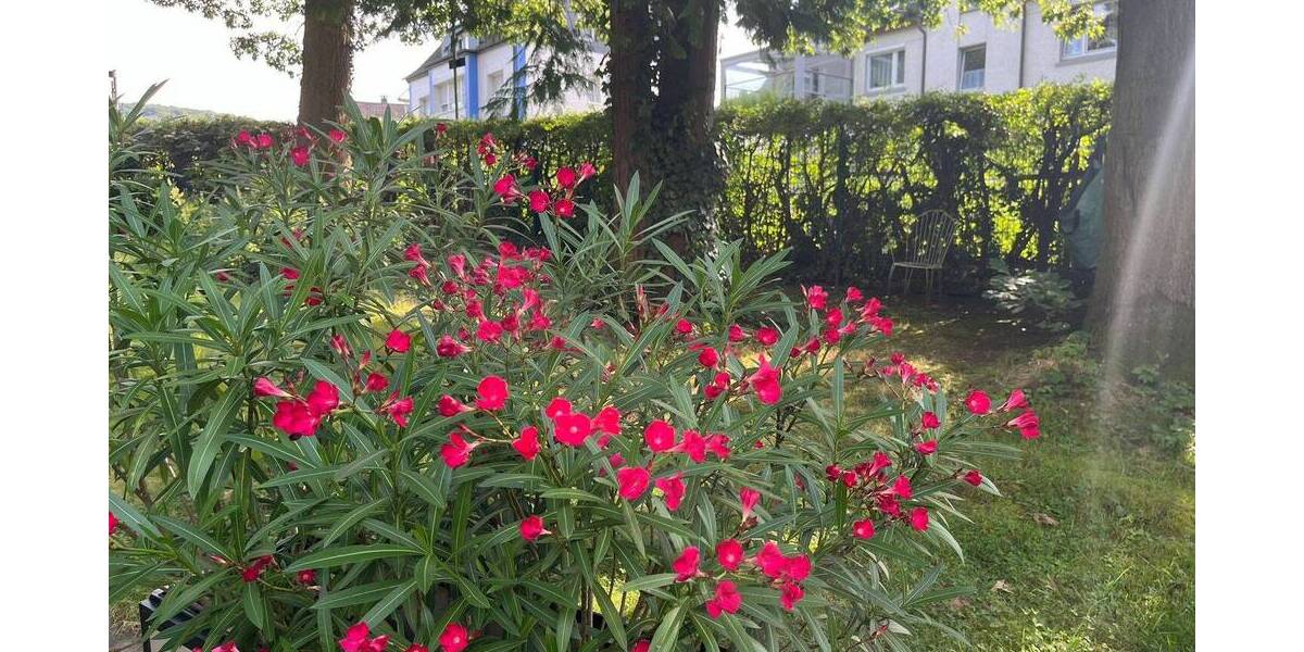 Grundstück Hagen Eilpe - 133.000&euro; | Angebot:24227866