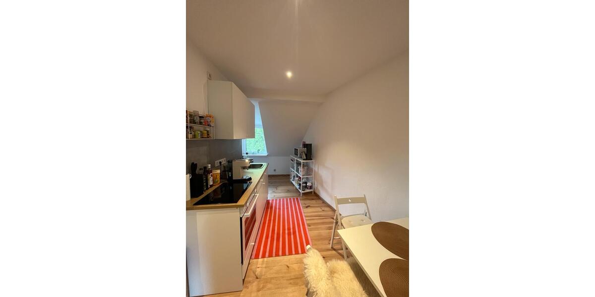 1-Zimmer Wohnung zur Untermiete im Unionviertel (16.01.-16.03) 1 zimmer