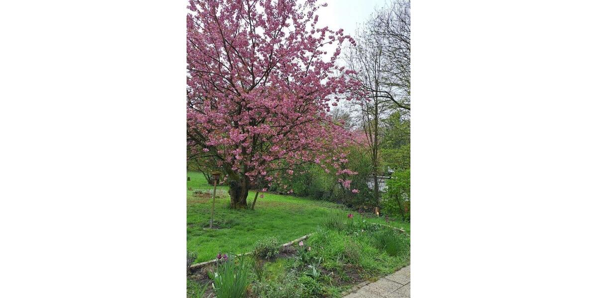 Einfamilienhaus Hattingen Blankenstein - 7 Zimmer, 230 m&sup2;, 650.000&euro; | Angebot:26580422