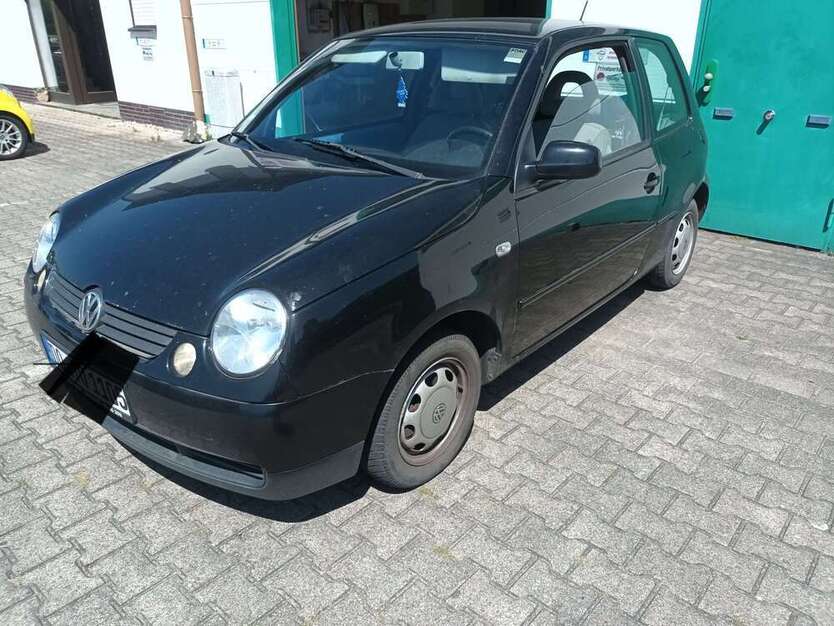 Lupo