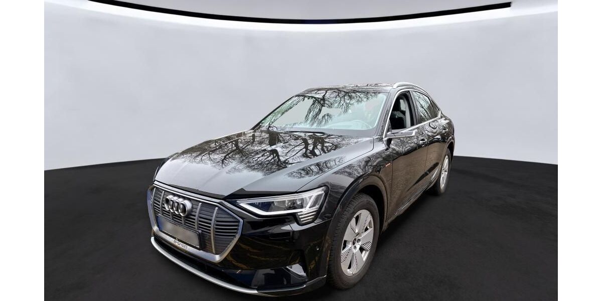 Audi e-tron 83.519 km 31.345 &euro; Hagen 58091