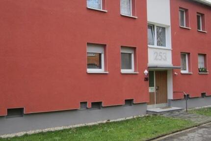 3 Zimmer Wohnung am Revierpark Wischlingen zimmer